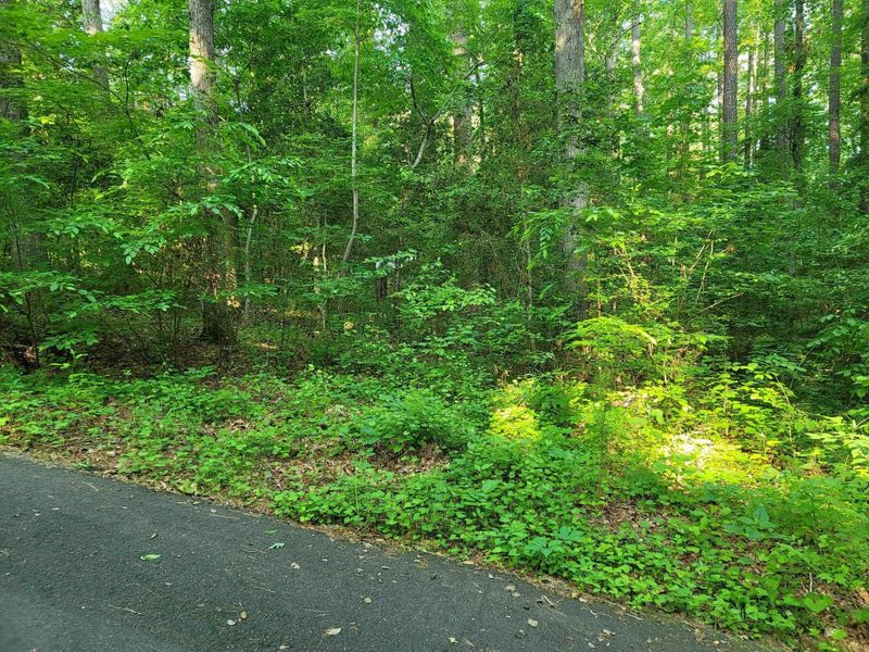7050 Maple Cir Lot 7050, Sanford, NC 27332