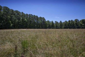 707 Mineral Springs Rd, Durham, NC 27703