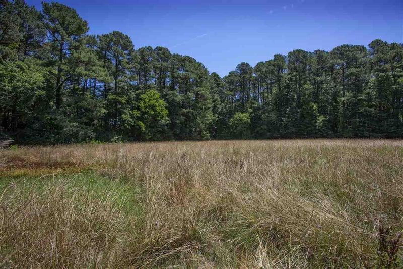 707 Mineral Springs Rd, Durham, NC 27703