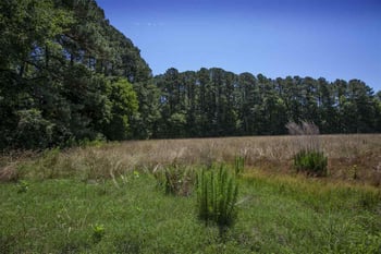 707 Mineral Springs Rd, Durham, NC 27703