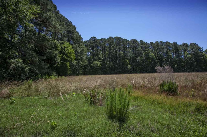 707 Mineral Springs Rd, Durham, NC 27703