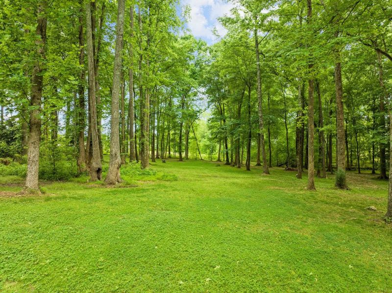 708 Young Forest Dr, Wake Forest, NC 27587