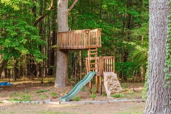 709 Appaloosa Way, Wake Forest, NC 27587
