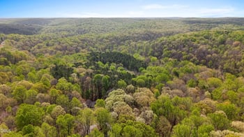 709 Glen Mist Trl, Hillsborough, NC 27278