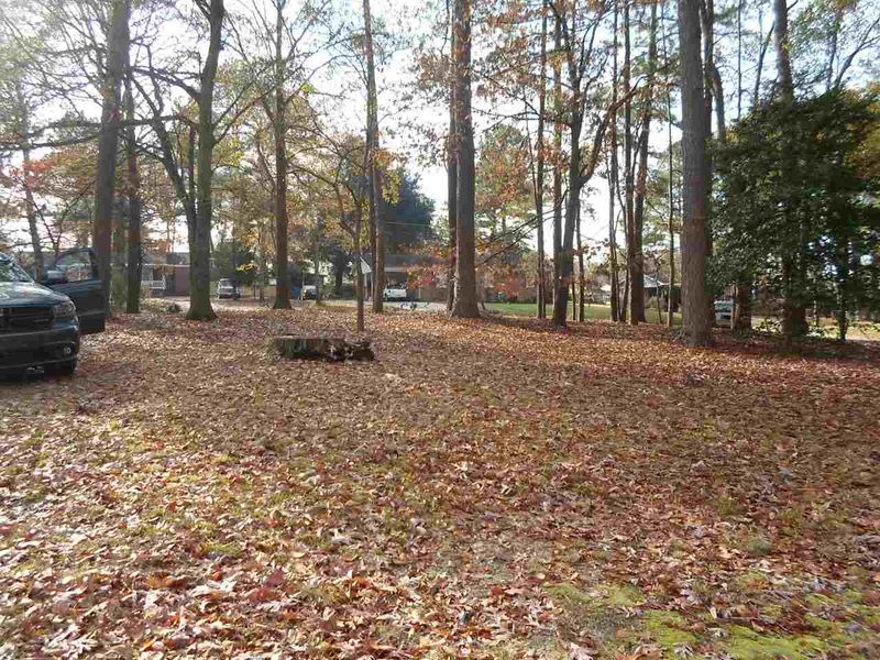 71 Lester St Lot 4, Angier, NC 27501