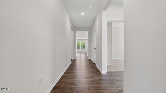 71 Saddle Mare St, Clayton, NC 27520