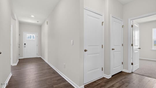 71 Saddle Mare St, Clayton, NC 27520