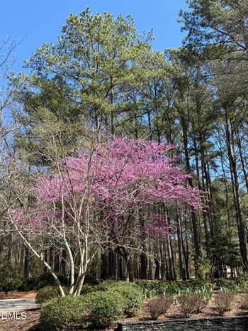7108 Beaver Trl, Apex, NC 27502