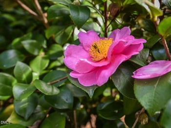 7108 Millstone Ridge Ct, Raleigh, NC 27614