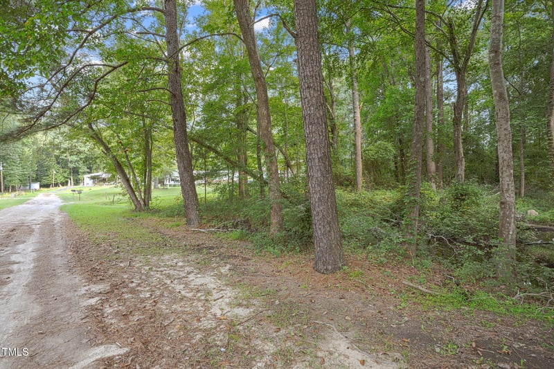 7117 Brodie Alston Ln, Wendell, NC 27591