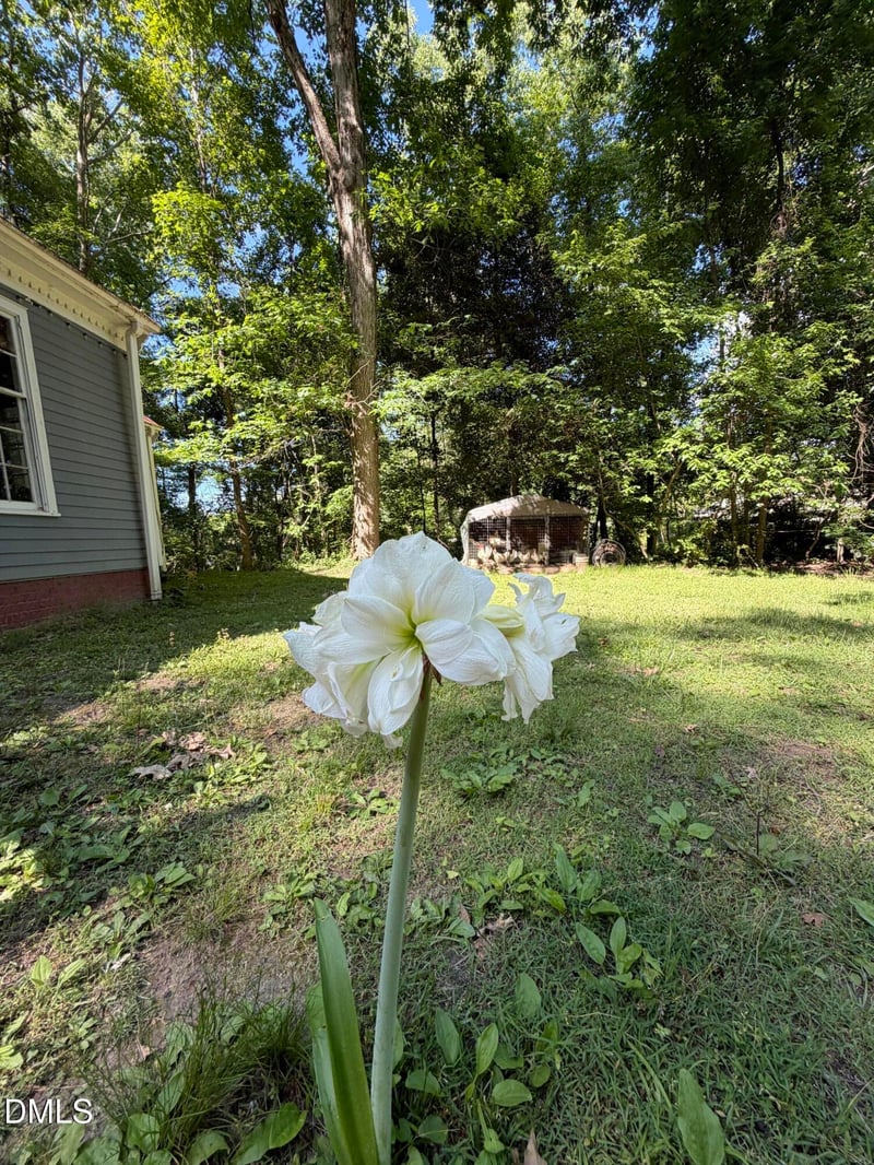7117 Sunset Lake Rd, Fuquay Varina, NC 27526