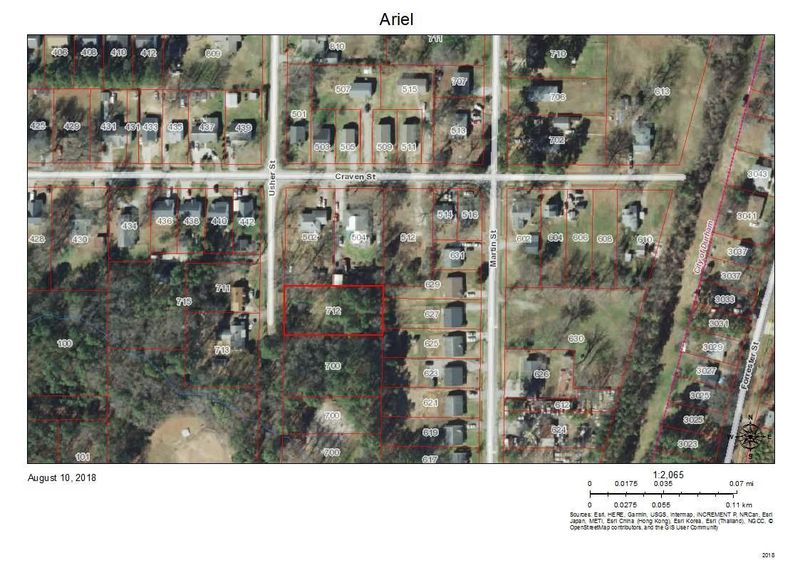 712 Usher St Lot 17, Durham, NC 27704