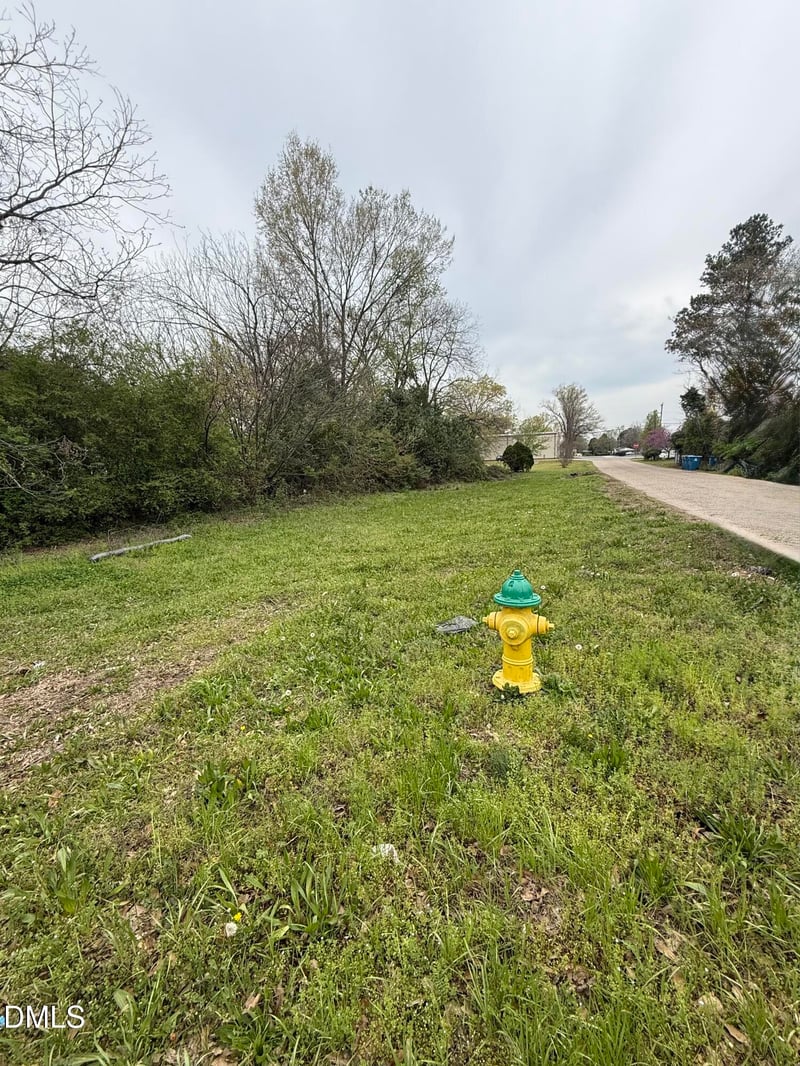 713 Magnolia Ave, Dunn, NC 28334