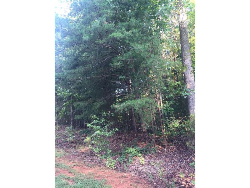 7169 Johns Point, Liberty, NC 27298