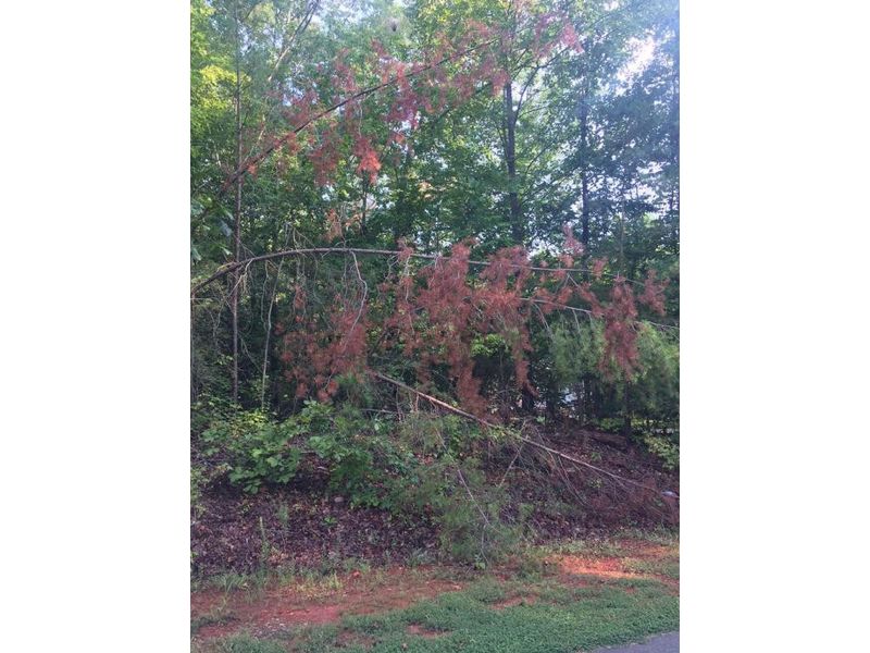 7169 Johns Point, Liberty, NC 27298