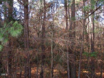 718 Airport Blvd, Morrisville, NC 27560