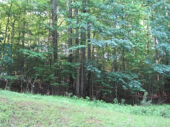 718 Sagamore Dr, Louisburg, NC 27549