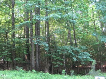 718 Sagamore Dr, Louisburg, NC 27549