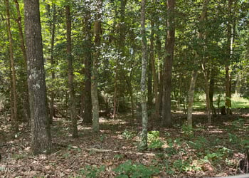 7187 Pearces Rd, Louisburg, NC 27549