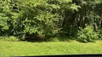 7187 Pearces Rd, Louisburg, NC 27549