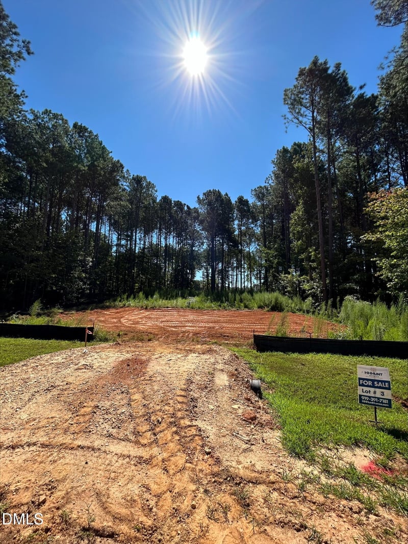 72 Cribbs Ln, Middlesex, NC 27557