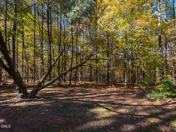 720 Timberlands Dr, Louisburg, NC 27549