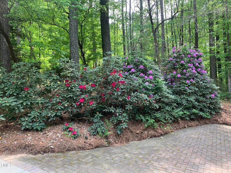 7220 Hayebury Dr, Wake Forest, NC 27587
