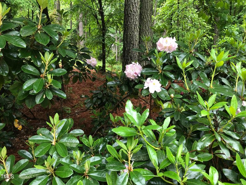 7220 Hayebury Dr, Wake Forest, NC 27587
