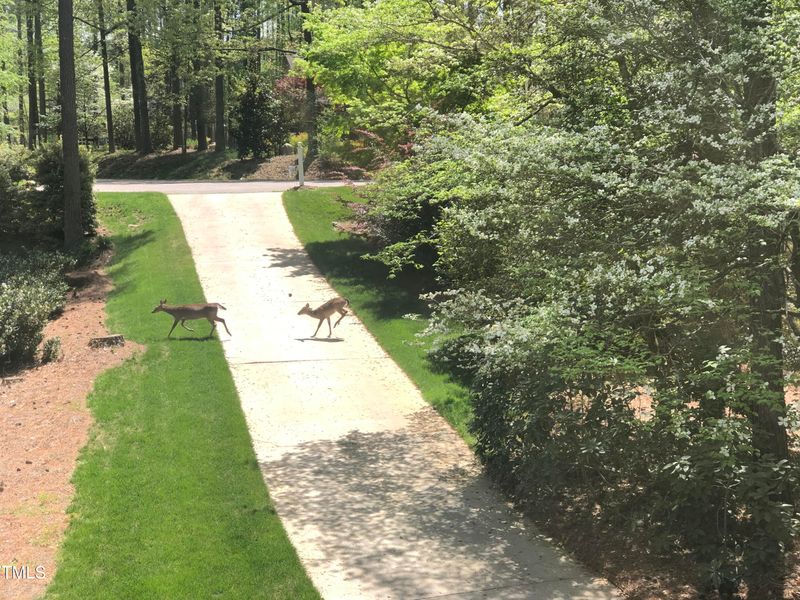 7220 Hayebury Dr, Wake Forest, NC 27587