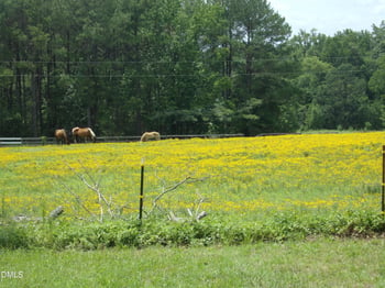 7221 Martin Rd Lot A, Zebulon, NC 27597