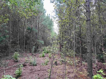 7221 Sunset Lake Rd Lot 1, Fuquay Varina, NC 27526