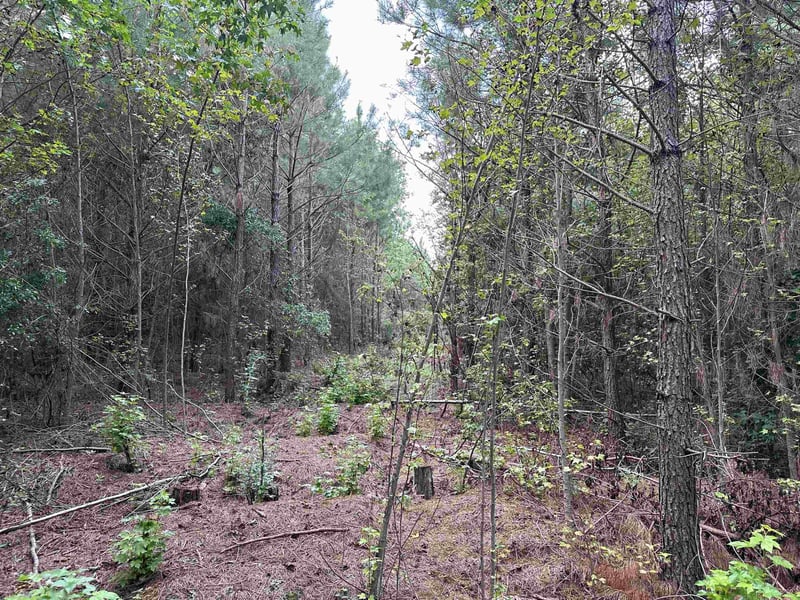 7221 Sunset Lake Rd Lot 1, Fuquay Varina, NC 27526