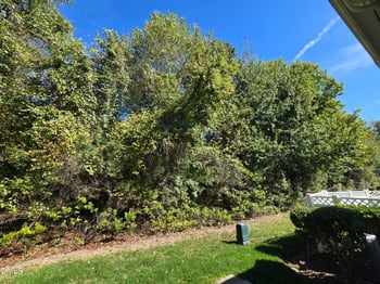 7224 Terregles Dr, Raleigh, NC 27617