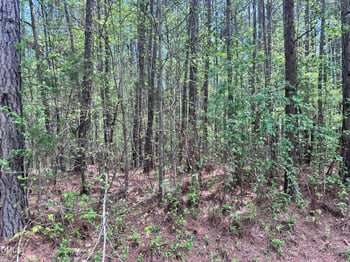 7227 Russell Rd, Durham, NC 27712