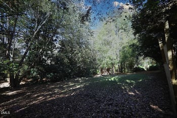 725 Littleleaf Ct, Holly Springs, NC 27540