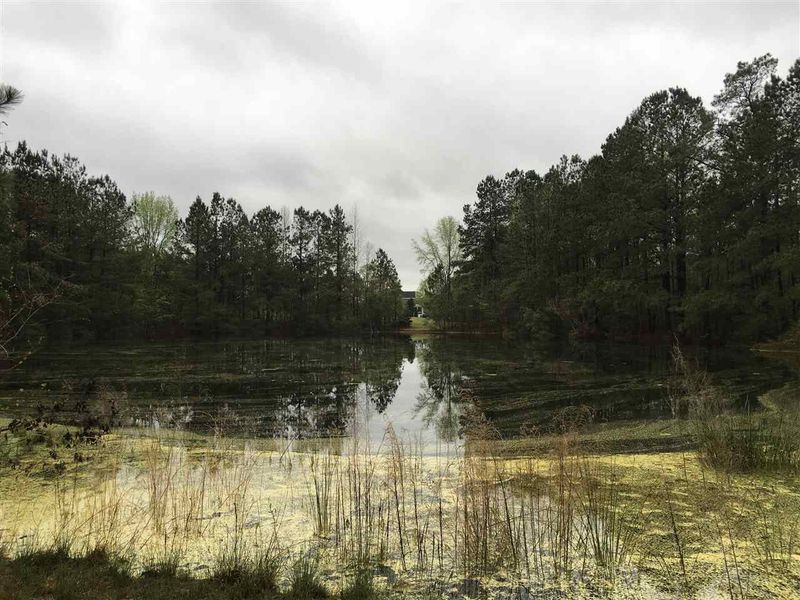 7288 Benson Hardee Rd Lot 2, Benson, NC 27504