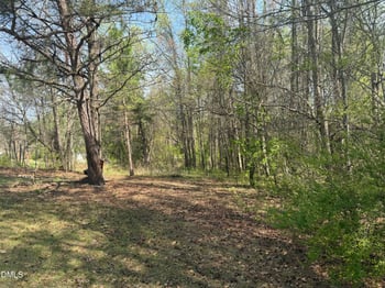 73 Hall Rd Lot 2, Erwin, NC 28339