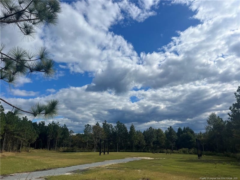 73 Pine Vista Way, Sanford, NC 27332