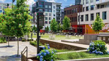 730 Orchard Vista Cir, Raleigh, NC 27606