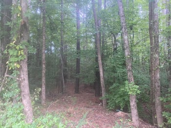 7304 Oak Leaf Dr, Chapel Hill, NC 27517