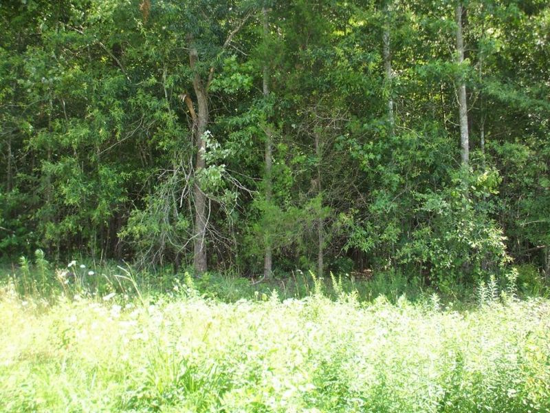 7313 Garrett Rd, Liberty, NC 27298