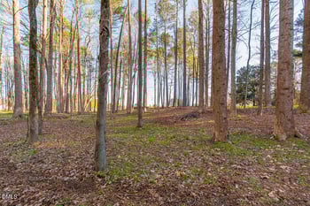 7326 Leesville Rd, Durham, NC 27703