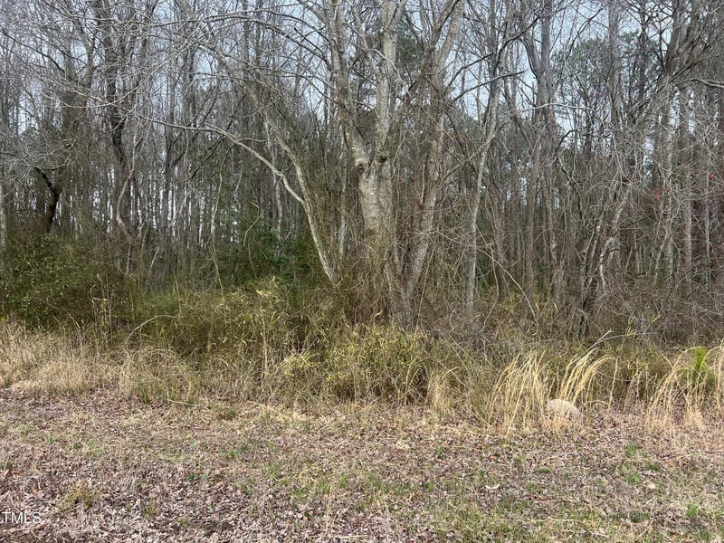 733 Federal Rd, Benson, NC 27504