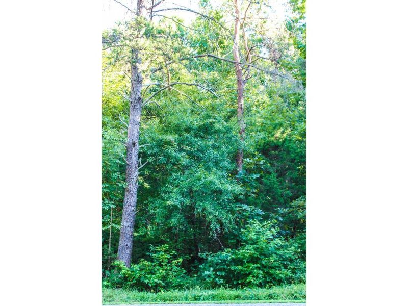 734 Atwater, Burlington, NC 27217