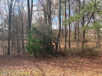 736 Treviso Ln, Apex, NC 27502