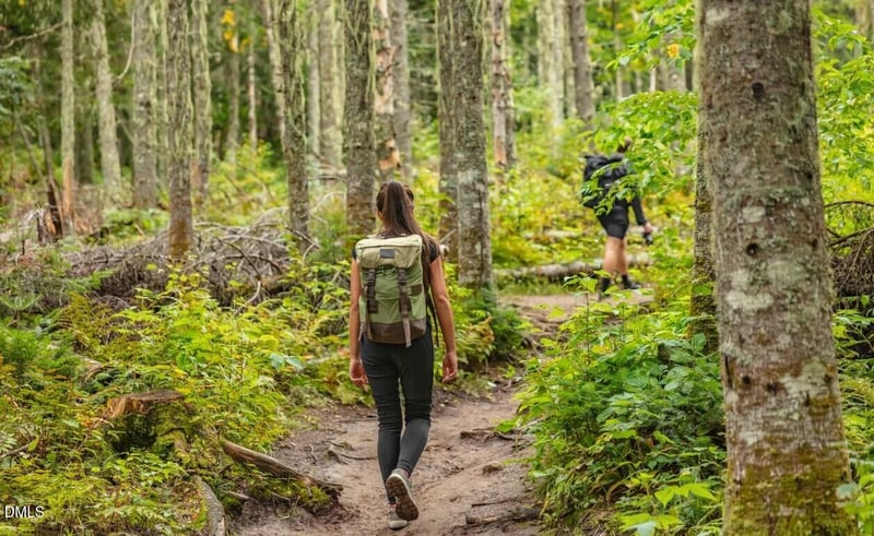 74 Floating Bridge Trl, Lillington, NC 27546