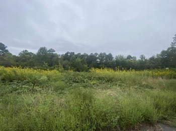 740 Cornelius St, Hillsborough, NC 27278