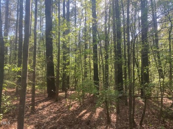 7405 Star Dr Lot 1a,b2a,b, Durham, NC 27713