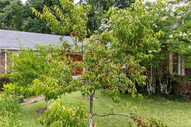 741 Ashboro St, Fayetteville, NC 28311