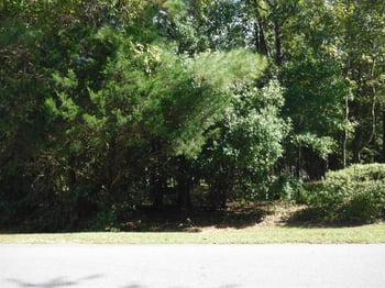 7421 Berkshire Downs Dr, Raleigh, NC 27616